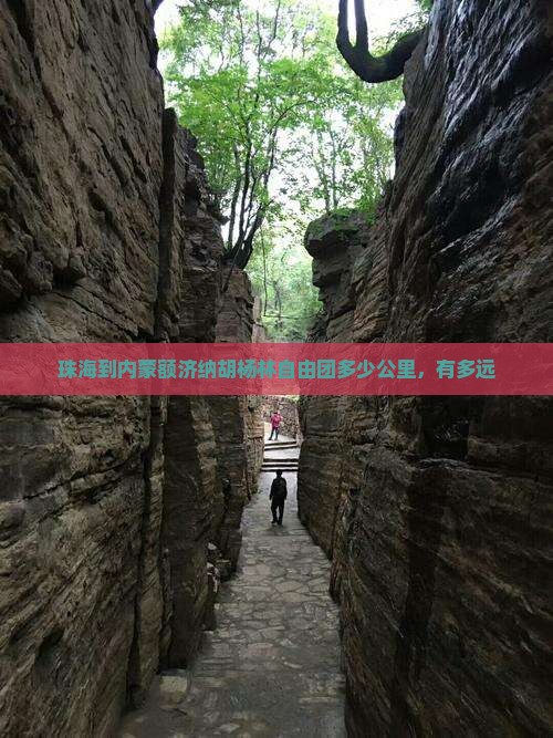 珠海到内蒙额济纳胡杨林自由团