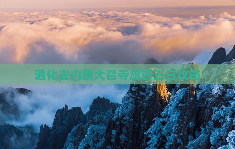 通化去内蒙大召寺五日游