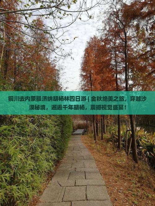 铜川去内蒙额济纳胡杨林四日游