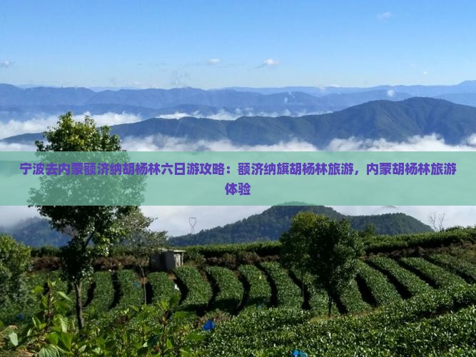 宁波去内蒙额济纳胡杨林六日游