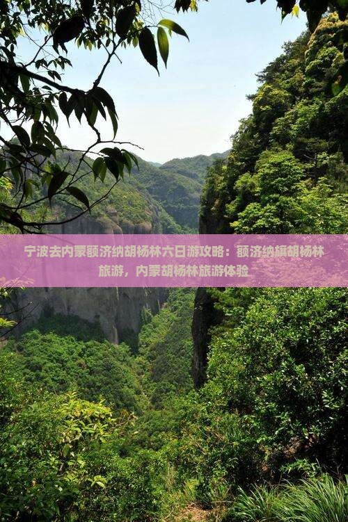 宁波去内蒙额济纳胡杨林六日游