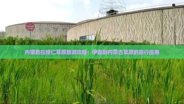 伊春去内蒙希拉穆仁草原哪里玩