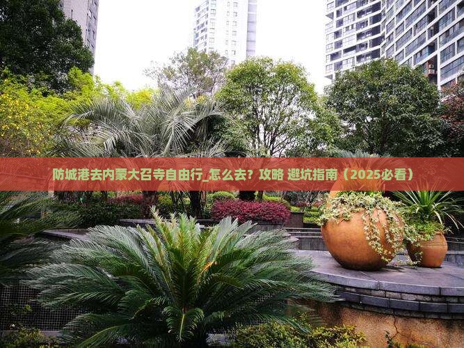 防城港去内蒙大召寺自由行