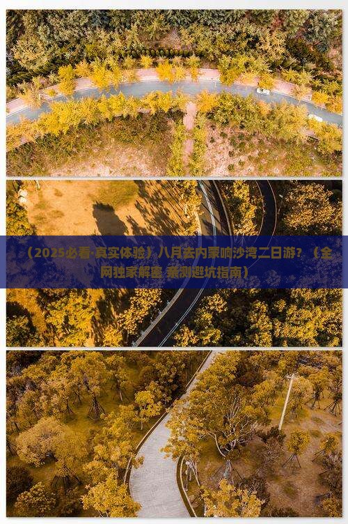 八月到内蒙响沙湾二日游