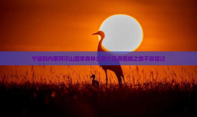 宁德到内蒙阿尔山国家森林公园六日游