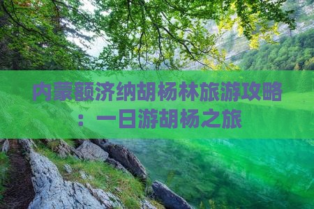 延边去内蒙额济纳胡杨林一日游