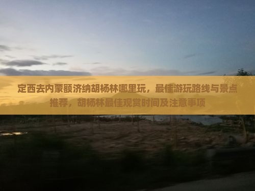 定西去内蒙额济纳胡杨林哪里玩