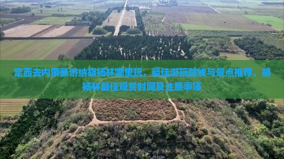 定西去内蒙额济纳胡杨林哪里玩