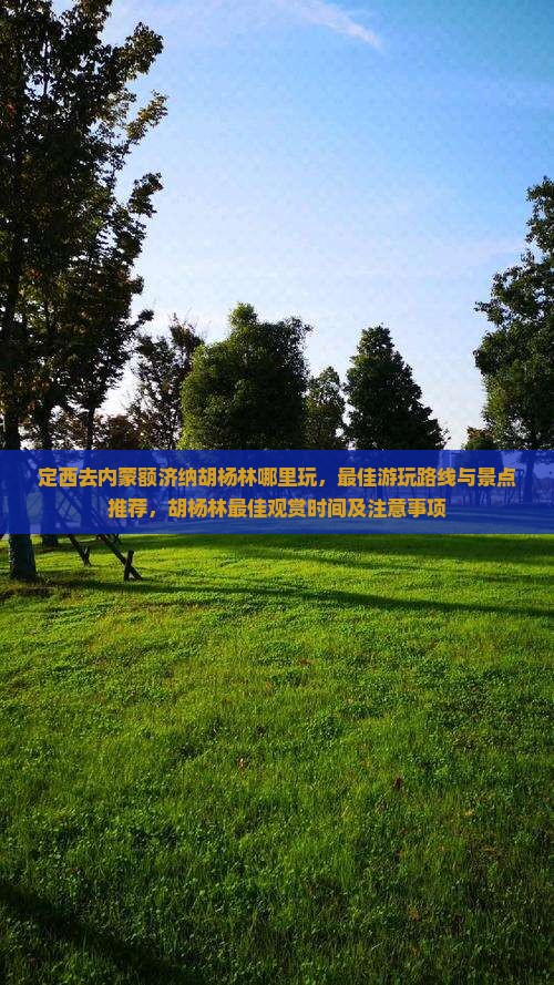 定西去内蒙额济纳胡杨林哪里玩