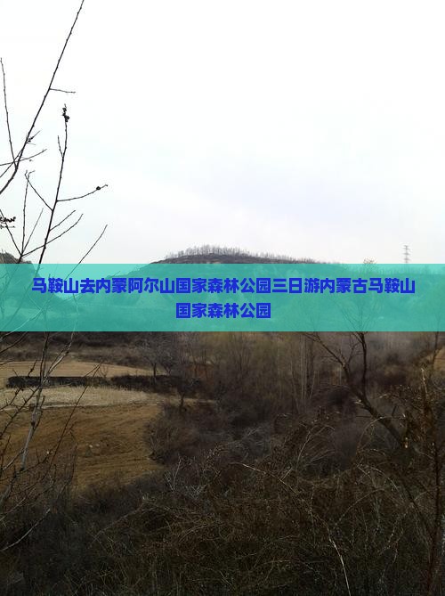 马鞍山去内蒙阿尔山国家森林公园三日游