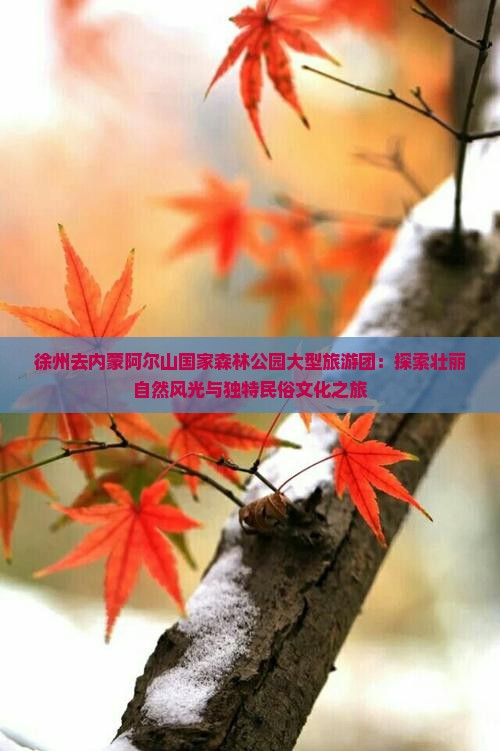 徐州去内蒙阿尔山国家森林公园大型旅游团