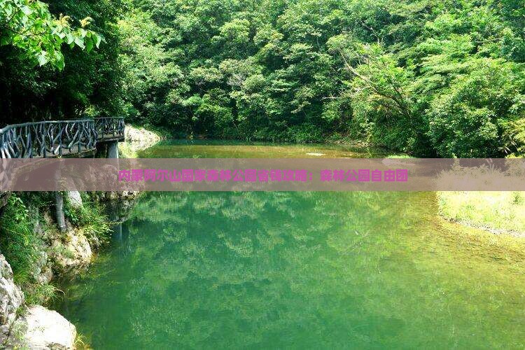 秋天去内蒙阿尔山国家森林公园自由团