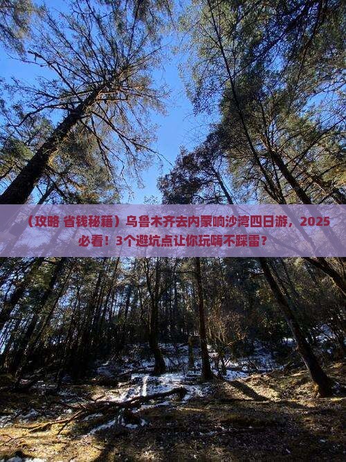 乌鲁木齐去内蒙响沙湾四日游