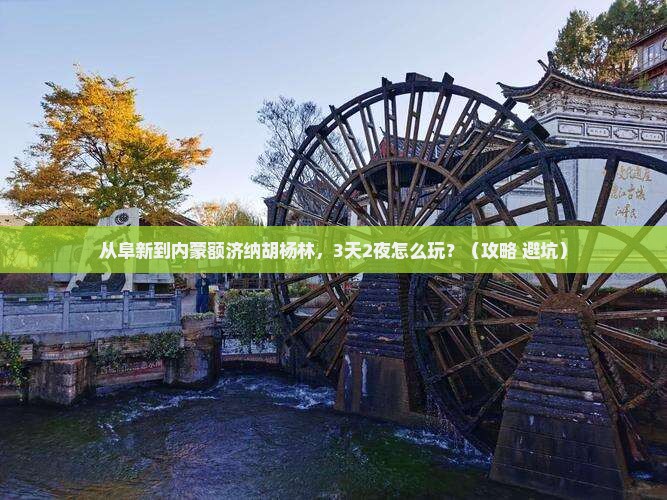 阜新到内蒙额济纳胡杨林自由团