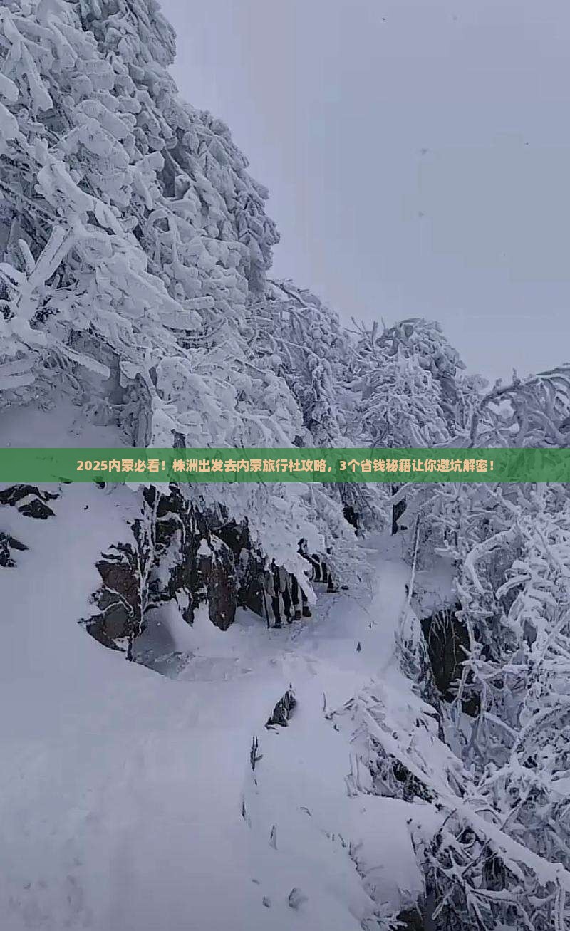 株洲去内蒙旅行社