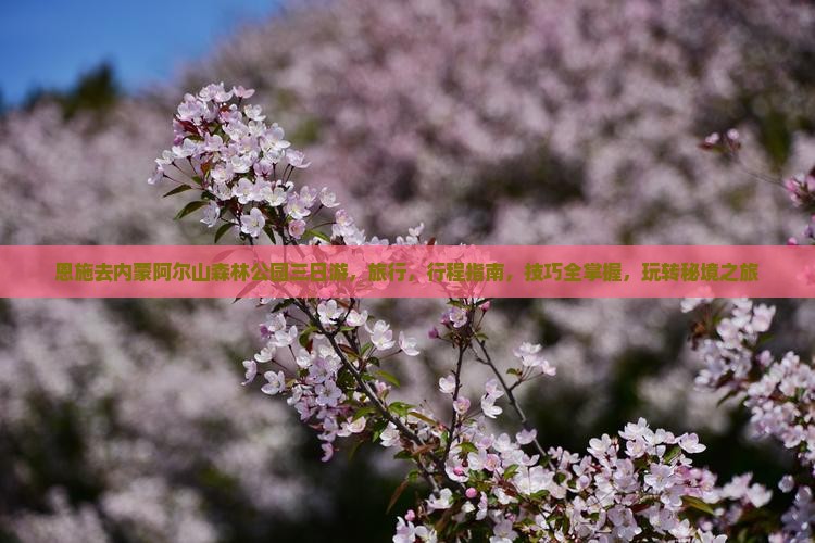 恩施去内蒙阿尔山国家森林公园三日游