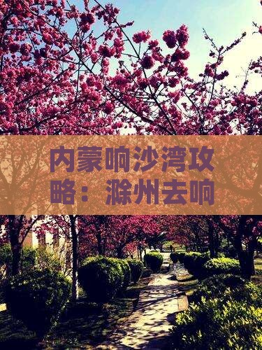 滁州去内蒙响沙湾六日游