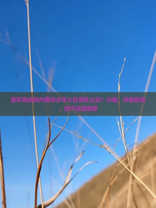 西双版纳到内蒙响沙湾七日游