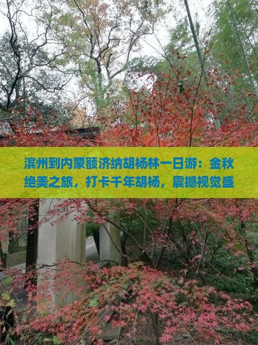 滨州到内蒙额济纳胡杨林一日游 滨州到内蒙额济纳胡杨林一日游