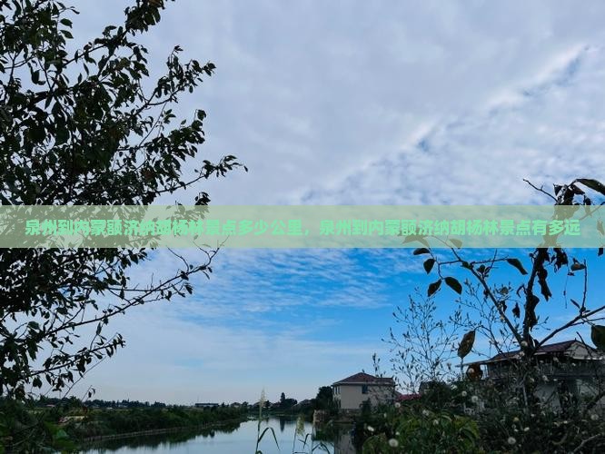 泉州到内蒙额济纳胡杨林景点