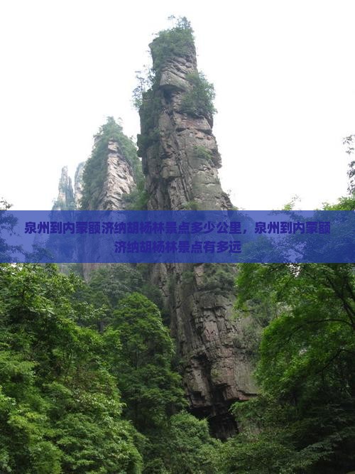 泉州到内蒙额济纳胡杨林景点