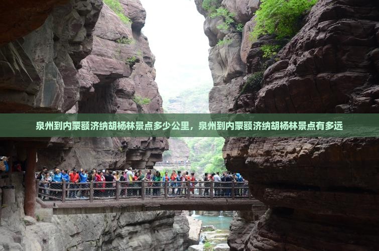 泉州到内蒙额济纳胡杨林景点