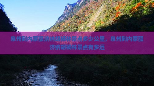 泉州到内蒙额济纳胡杨林景点