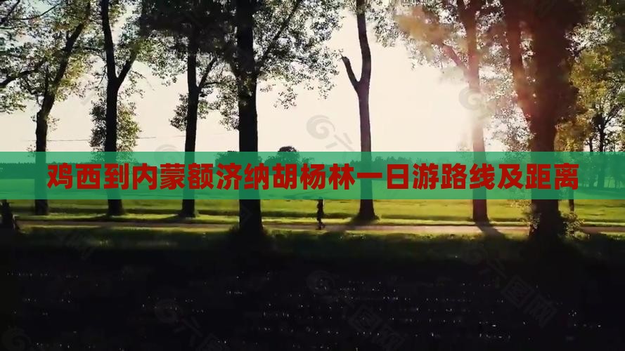 鸡西到内蒙额济纳胡杨林一日游