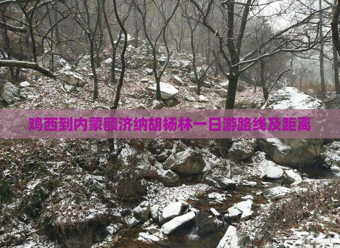 鸡西到内蒙额济纳胡杨林一日游