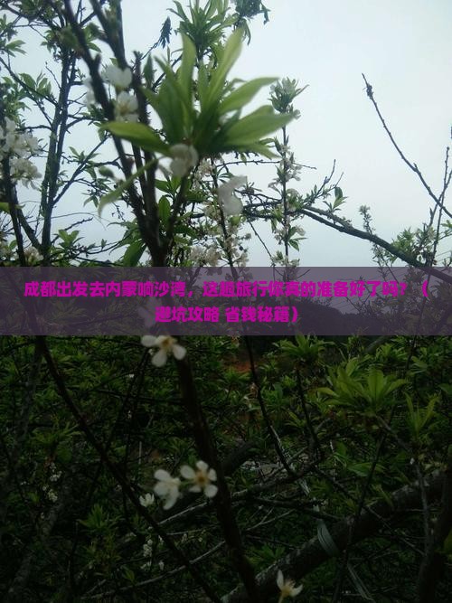 成都到内蒙响沙湾旅行社