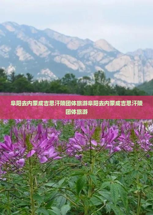 阜阳去内蒙成吉思汗陵团体旅游