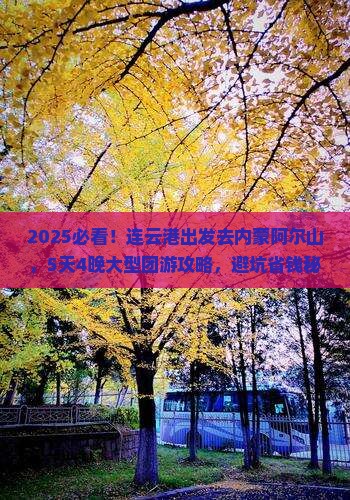 连云港去内蒙阿尔山国家森林公园大型旅游团 连云港去内蒙阿尔山国家森林公园大型旅游团