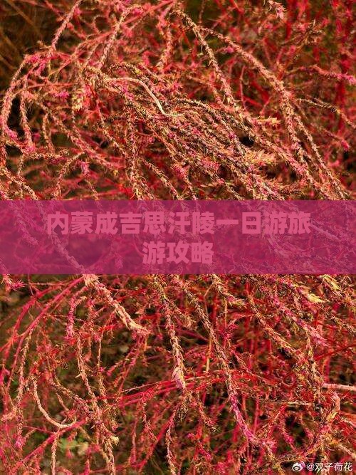 大庆去内蒙成吉思汗陵一日游