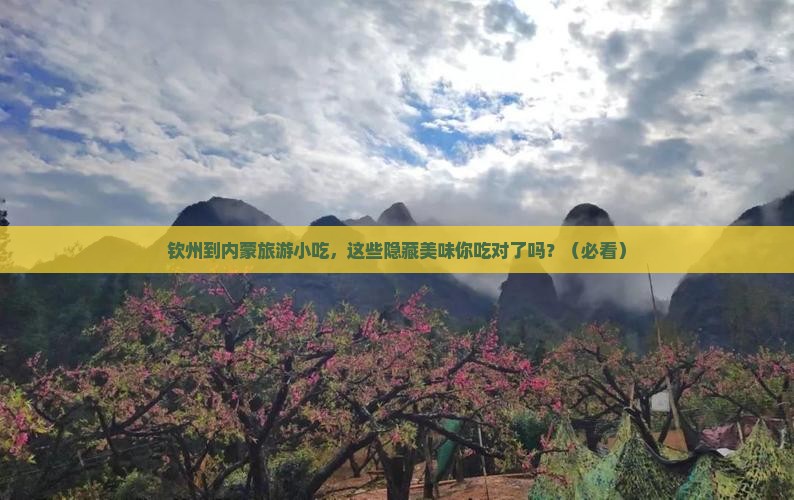 钦州到内蒙旅游小吃