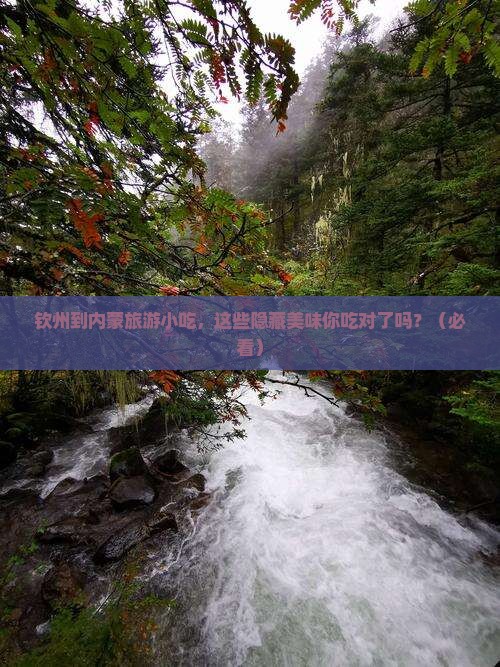 钦州到内蒙旅游小吃