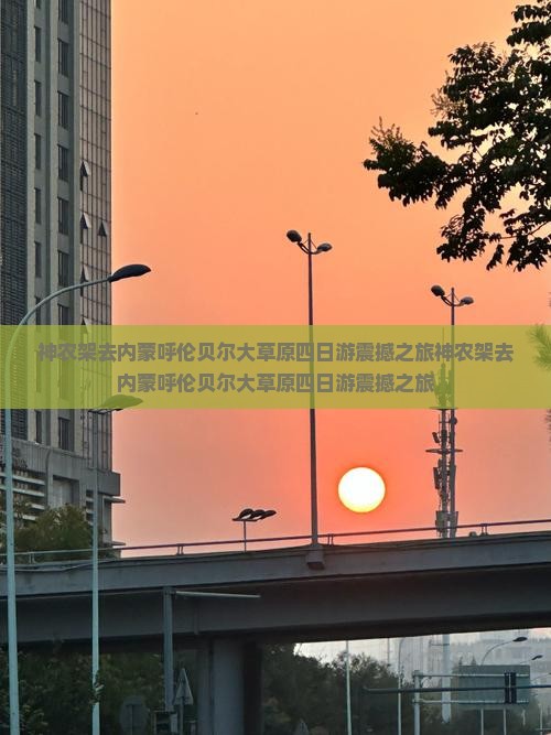 神农架去内蒙呼伦贝尔大草原四日游