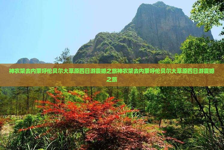 神农架去内蒙呼伦贝尔大草原四日游