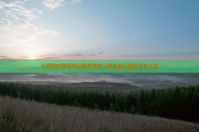 十堰到内蒙阿尔山国家森林公园自由行