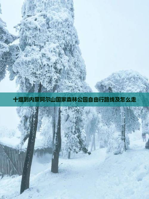 十堰到内蒙阿尔山国家森林公园自由行