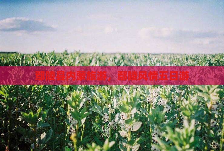 鄢陵县去内蒙五日游