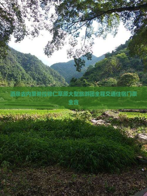 酒泉去内蒙希拉穆仁草原大型旅游团
