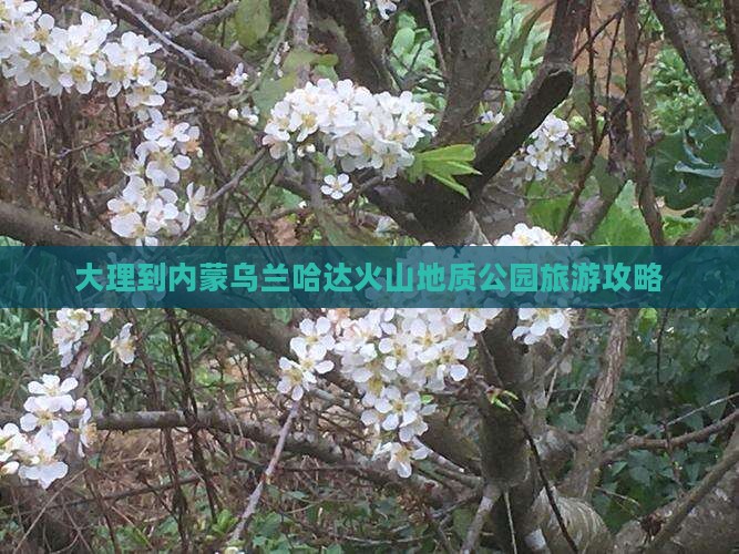 大理到内蒙乌兰哈达火山地质公园景点