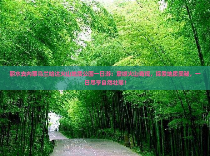 丽水去内蒙乌兰哈达火山地质公园一日游