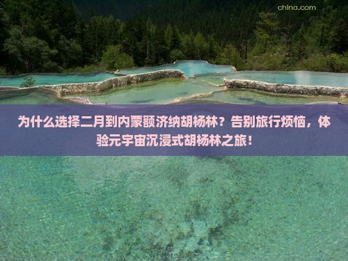 二月到内蒙额济纳胡杨林旅行社