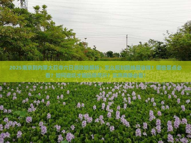 南京到内蒙大召寺六日游