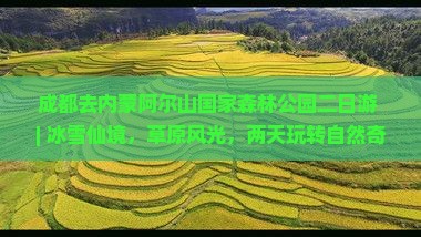 成都去内蒙阿尔山国家森林公园二日游