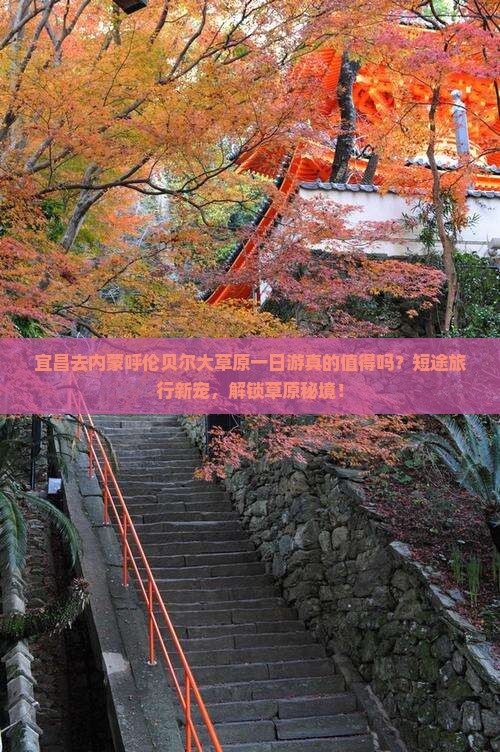 宜昌去内蒙呼伦贝尔大草原一日游