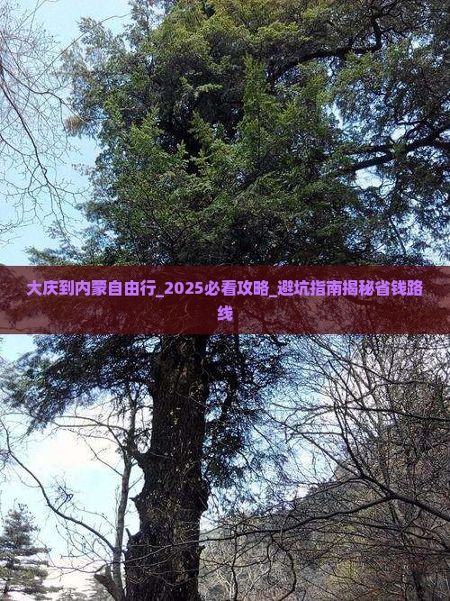 大庆到内蒙自由行