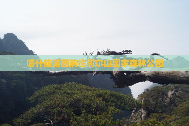 喀什去内蒙阿尔山国家森林公园大型旅游团
