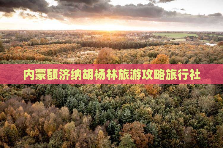 晋城去内蒙额济纳胡杨林旅行社